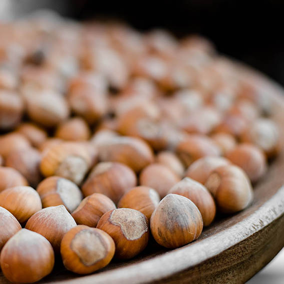 DIE HASELNÜSSE AUS DEM PIEMONT – Aruntam Chocolate