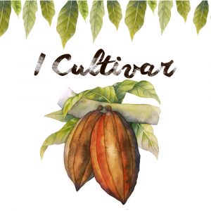 I Cultivar