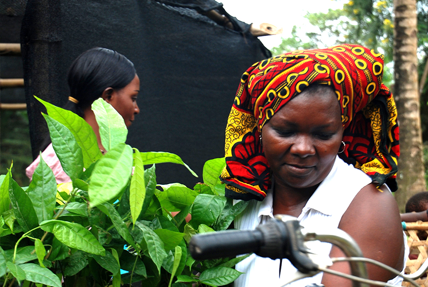 72% Tanzania Kokoa Kamili