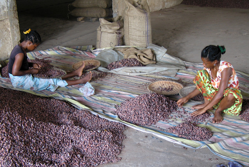 72% Madagascar Bejofo Estate Åkesson’s Beans