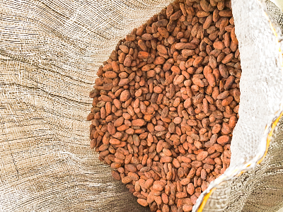 ORIGINS OF CACAO