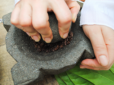 HISTORY OF COCOA