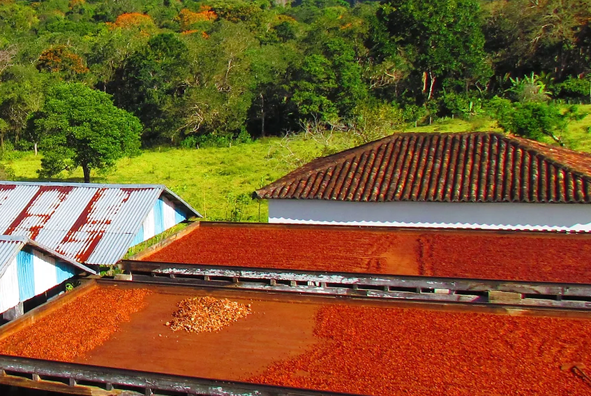 UNA BAHIA 77%