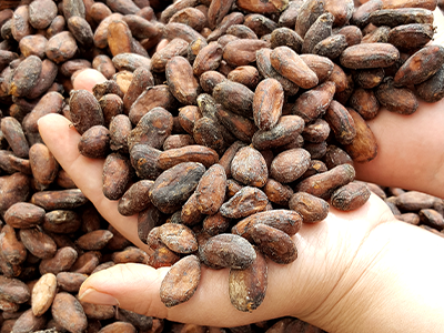 CRAFT CHOCOLATE BEAN TO BAR