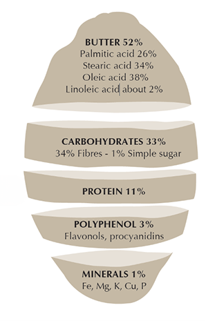 fava di cacao suddivisa